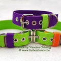 Powerful Collars in 40mm: lila-limone,  limone-lila, limone-orange