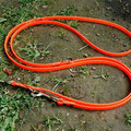 Führleine: signal-orange, 3-fach verstellbar, 2,50m lang - 13mm