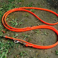 Führleine: signal-orange, 3-fach verstellbar, 2,50m lang - 13mm