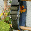 Halsband mit Klick in oliv mit Fleecepolsterung in 'taubenblau'