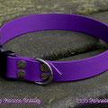 Halsband in lila mit Klick in 25mm