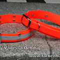 Halsbänder mit Doppelstegschnalle in signalorange. Links 25mm translucent mit Reflektorstreifen genietet auf 32mm beta / rechts 19mm beta genietet auf 32mm beta