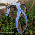 Geschirr mit Reflektorpaspel in fliederblau mit AirMesh in schlamm