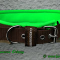 Halsband mit Rollschnalle in braun und Neopren in neongrün