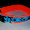 Halsband mit Klick in 10mm Mustergurtband 'blau mit Pfötchen' und Neopren in signalorange