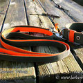 Powerful Collar in 40mm, oliv-orange mit passender Leine