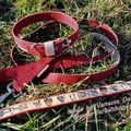 Powerful Collar - 40mm, bordeaux-beige mit passender Leine in 25mm