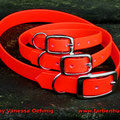 Halsbänder in signal-orange mit Doppelstegschnalle in 13mm, 16mm & 19mm