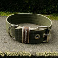 Powerful Collar in 40mm, oliv-beige