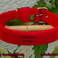 Powerful Collar mit Klettfläche in 30mm, rot