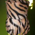 'Fransenloop' in Tigeroptik