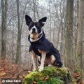 Kiss mit ihrem neuen Rukka Stormy