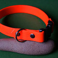 einfaches Halsband mit Klick in signal-orange