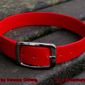 Halsband in rot mit Doppelstegschnalle in 25mm