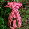 Geschirr in pink mit Borte '(ferumhliegende) Letterschminge' und dunkelrosa Fleecepolsterung