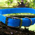Halsband mit Doppelstegschnalle in 'translucent' meerblau, 25mm