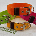 Powerful Collars in 40mm: limone-braun,  gelb-braun, pink-braun & orange-braun