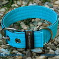 Powerful Collar in 40mm, türkis-schwarz