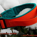 Halsband mit Klick in orange mit Handgriff und Fleece in Petrol