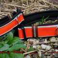 Halsbänder mit Klick in orange mit Reflektorpaspel und Neopren in schwarz
