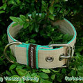 Powerful Collar in 40mm, beige-minze