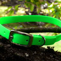 Halsband mit Doppelstegschnalle in signal-grün, 19mm
