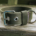 Powerful Collar in 40mm, oliv