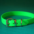 einfaches Halsband mit Rollschnalle gift-grün