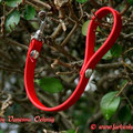 Miniatur-Leine aus Biothane, rot, 9mm