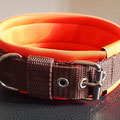 Halsband mit Rollschnalle in braun, 30mm, mit Neopren Polsterung in signalorange