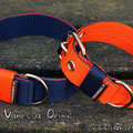 Powerful Collars in 40mm in dkl.blau-orange& orange-dkl.blau
