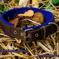 Halsband mit Rollschnalle in braun mit Neopren in royalblau