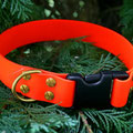 Halsband mit Klick, 32mm, Beschläge aus Messing / vermessingt