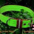 Powerful Collar in 30mm, limone-bordeaux