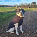 Kiss mit ihrem neuen Rukka Pulli 'Wooly'
