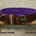 Halsband mit Rollschnalle in braun mit Neopren in lila