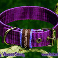 Powerful Collar in 30mm, violett-fliederblau