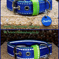 Powerful Collar in 25mm mit Reflektorstreifen und passender Marke