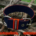 Powerful Collar in 50mm, marine-orange