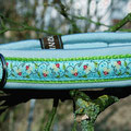 Halsband mit Klick in limone mit Borte ''Fräulein Wasserlilie No.1' und Neoprenpolsterung in babyblau