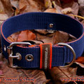 Powerful Collar in 40mm, dunkelblau-orange