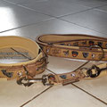 Halsband mit Rollschnalle in 30mm hellbraun mit Webband 'Fighting for Love' und Polsterung aus Neopren in creme. Mit passender Leine, 3fach verstellbar, 2,20m lang
