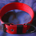 Powerful Collar in 50mm, standard, rot-schwarz