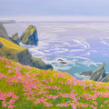 Grasnelkenblüte - Atlantikküste Cornwall - Öl auf Leinwand - 500x700 mm