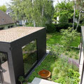 Alt und Neu im Dialog Moderner Bungalowgarten I Bonn