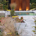 "Endless Summer" Moderner Pool Wohngarten I Bonn