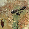 o.T., Holzrinde, Holzwolle, Holz 30x30, 2024/219