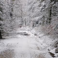 .. nach dem Schnee / Föhnsturm