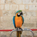 Que de belles couleurs ! 