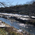 野川から見た雪の喜多見ふれあい広場